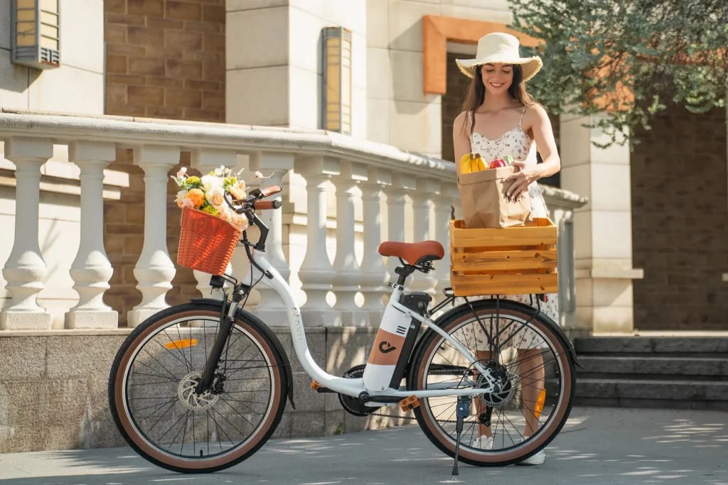 Comparativa de Ventajas y Desventajas entre Bicicletas Eléctricas con Batería de Iones de Litio y de Plomo-Ácido 5 Comparativa de Ventajas y Desventajas entre Bicicletas Eléctricas con Batería de Iones de Litio y de Plomo-Ácido 4