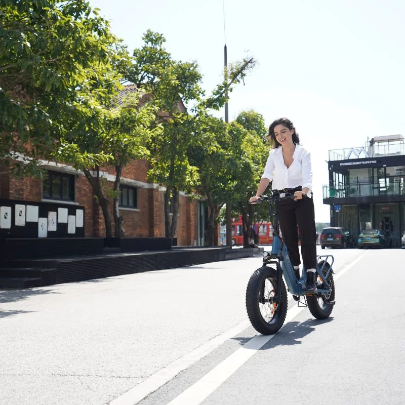 DYU FF500 20" Gruesa Bicicleta Eléctrica 80km 500W Todo Terreno 9