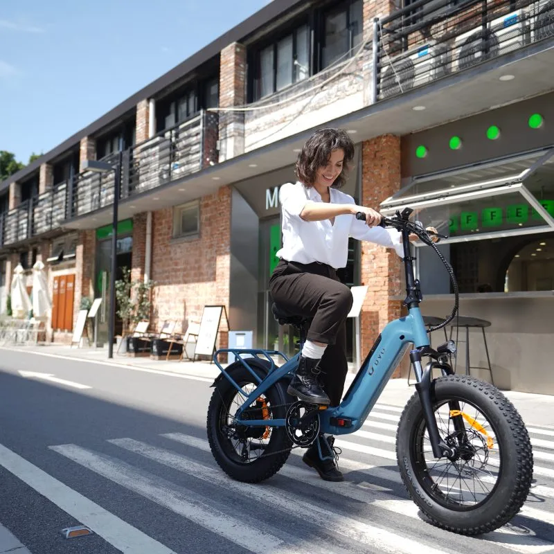 DYU FF500 20" Gruesa Bicicleta Eléctrica 80km 500W Todo Terreno 10