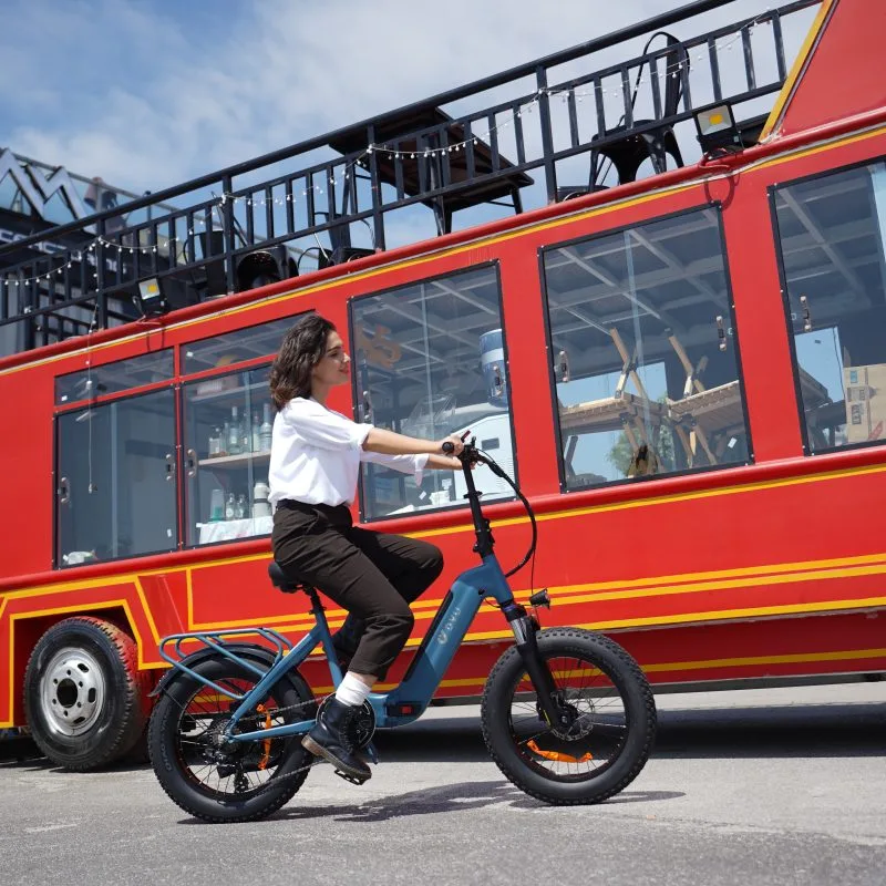 DYU FF500 20" Gruesa Bicicleta Eléctrica 80km 500W Todo Terreno 11