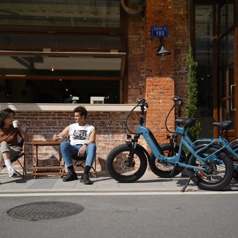 DYU FF500 20" Gruesa Bicicleta Eléctrica 80km 500W Todo Terreno 12