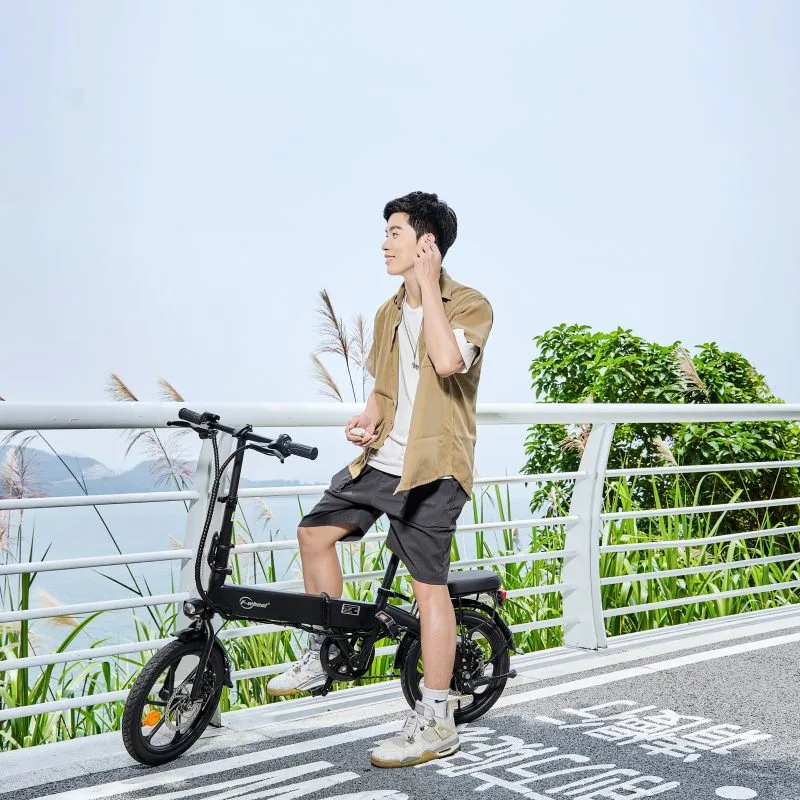 DYU A1F PRO 16" Plegable Bicicleta Eléctrica 40km Canasta 11