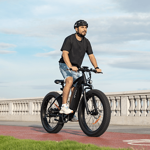 Fat Tire Ebike