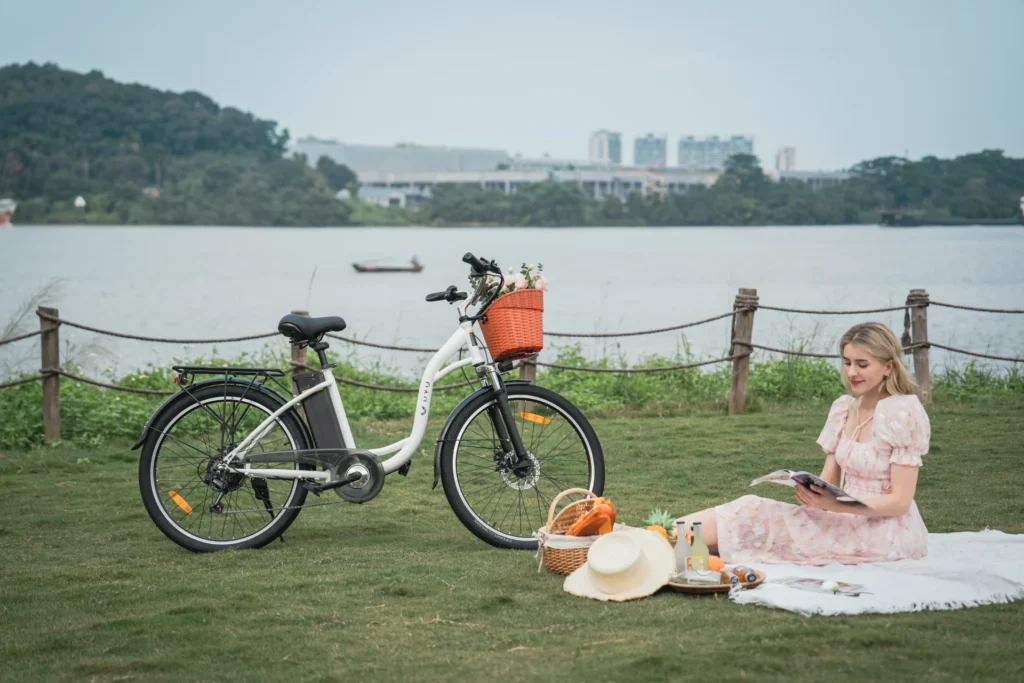 Modificaciones de Carga para E-Bikes: Cómo Instalar Portaequipajes, Cestas y Mejoras Resistentes 30 Modificaciones de Carga para E-Bikes: Cómo Instalar Portaequipajes, Cestas y Mejoras Resistentes 30