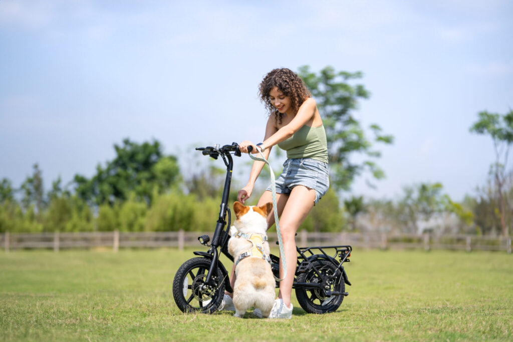 El primer anuncio de e‑bikes: cómo los años 70 intentaron vender “caballos eléctricos” 19 El primer anuncio de e‑bikes: cómo los años 70 intentaron vender “caballos eléctricos” 19