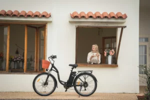 Cómo Proteger la Batería de tu E-Bike en Invierno: Una Guía de Cuidado Probada 16